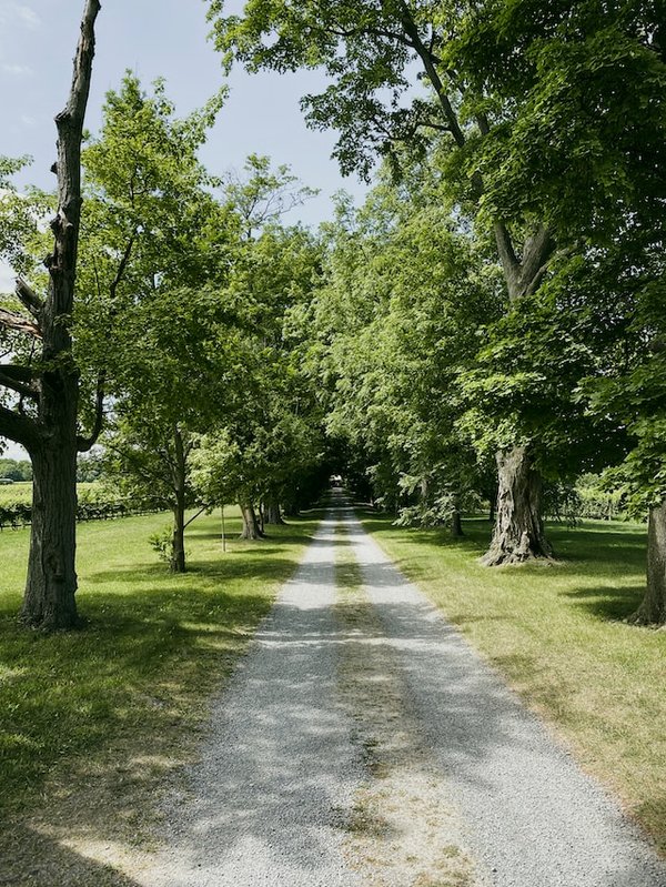 Quelle épaisseur pour une allée en gravier ?